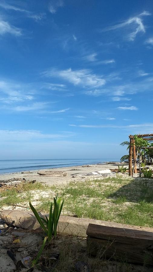 Urantia Beach Hostel & Camping San Onofre Ngoại thất bức ảnh