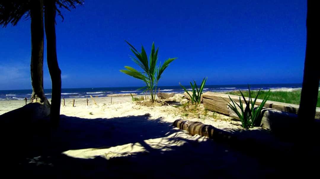 Urantia Beach Hostel & Camping San Onofre Ngoại thất bức ảnh